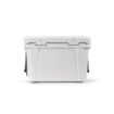 Picture of San Francisco Cooler 35L rPE with customisable metal plate.