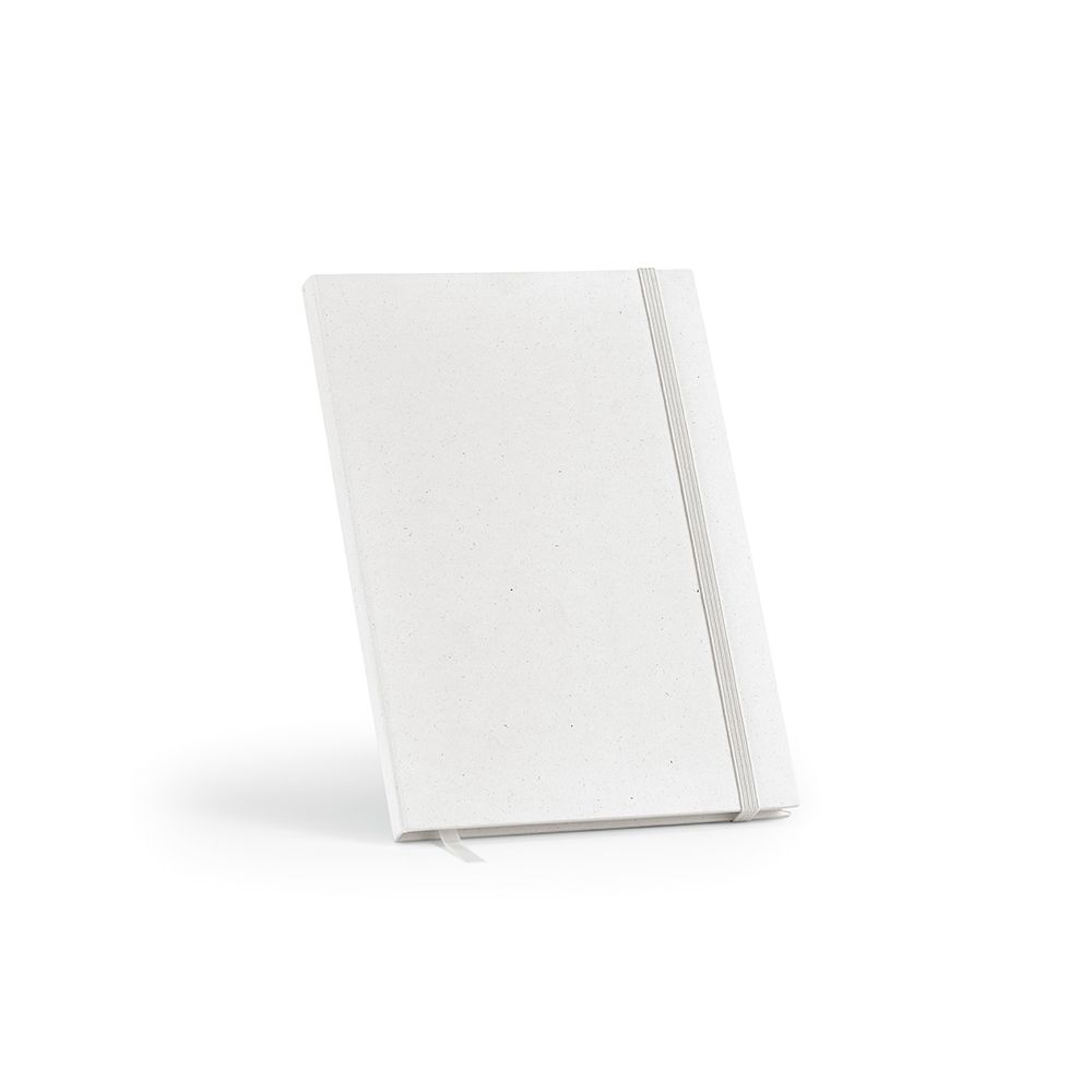 Picture of Hugo Notebook