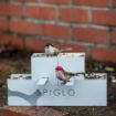 Picture of Spiglo Bottle rSS 780ml. Double wall and Leakproof. Wheel shaped lid