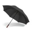 Picture of Aretha Umbrella