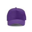 Picture of Hendrix Cap rCotton 280gsm. 5 panels and Metal Buckle Closure