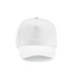 Picture of Hendrix Cap rCotton 280gsm. 5 panels and Metal Buckle Closure