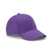 Picture of Darrell Cap rCotton 280 gsm. 6 panels and Metal Buckle Closure