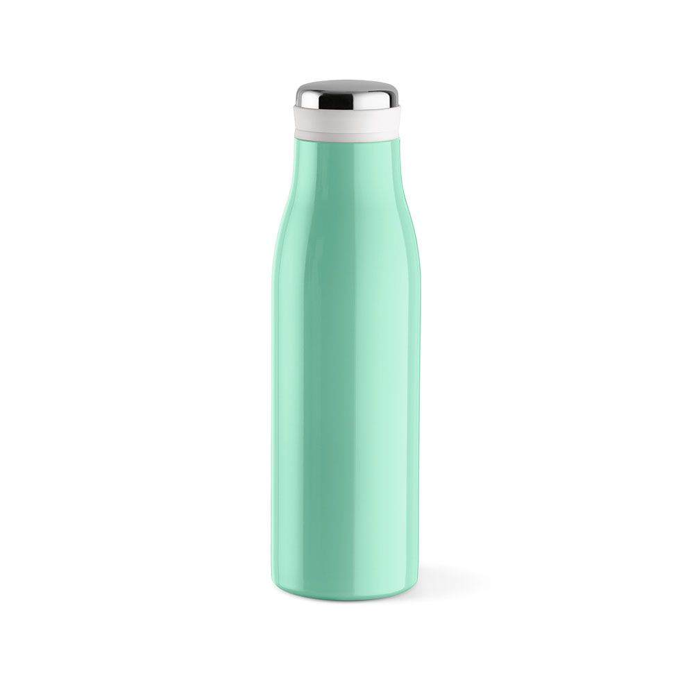 Picture of Arkansas 500 Bottle rSS 495ml. Double wall, Leakproof and Handle