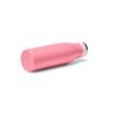 Picture of Arkansas 500 Bottle rSS 495ml. Double wall, Leakproof and Handle
