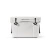 Picture of San Francisco Cooler 35L rPE with customisable metal plate.