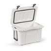 Picture of San Francisco Cooler 35L rPE with customisable metal plate.