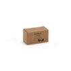 Picture of Pasteur Earbuds Recycled ABS 400 mAh 
