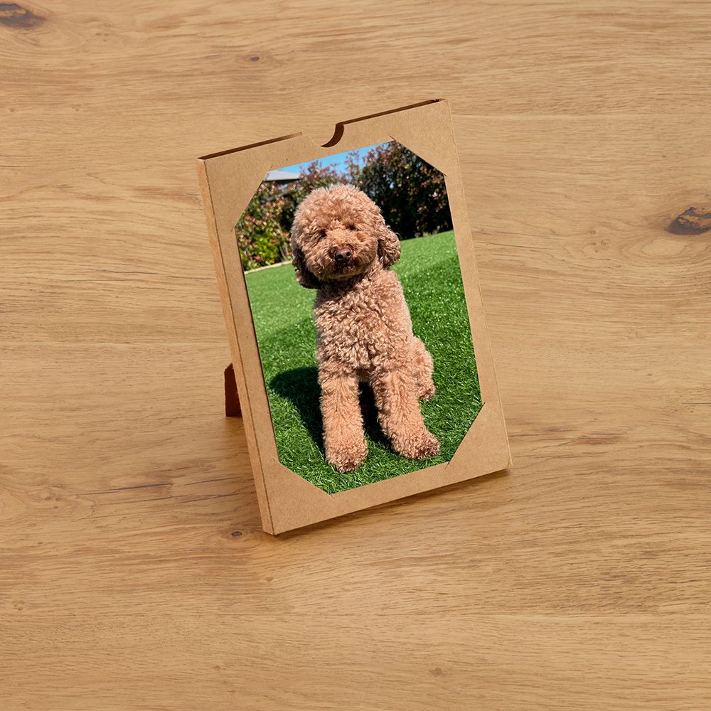 Picture of Doyle A5 Notebook Coffee Waste cover. 80gsm recycled 196 pages
