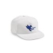 Picture of Cornell Cap rCotton 280gsm. 5 panels and Snap Closure