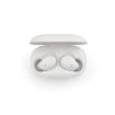 Picture of Pasteur Earbuds rABS 400mAh with 5h playtime